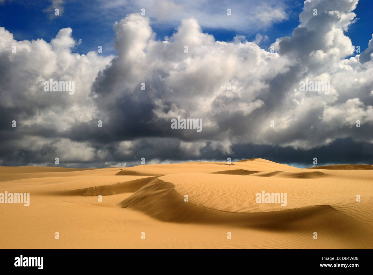 Désert de dunes avec de gros nuages et une lumière vive Banque D'Images