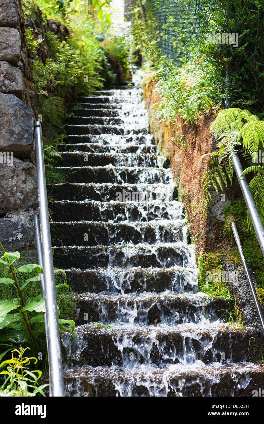 L'eau qui coulait vers le bas d'un escalier de pierre après une forte pluie, Funchal, Madeira, Portugal, Boaventura Banque D'Images