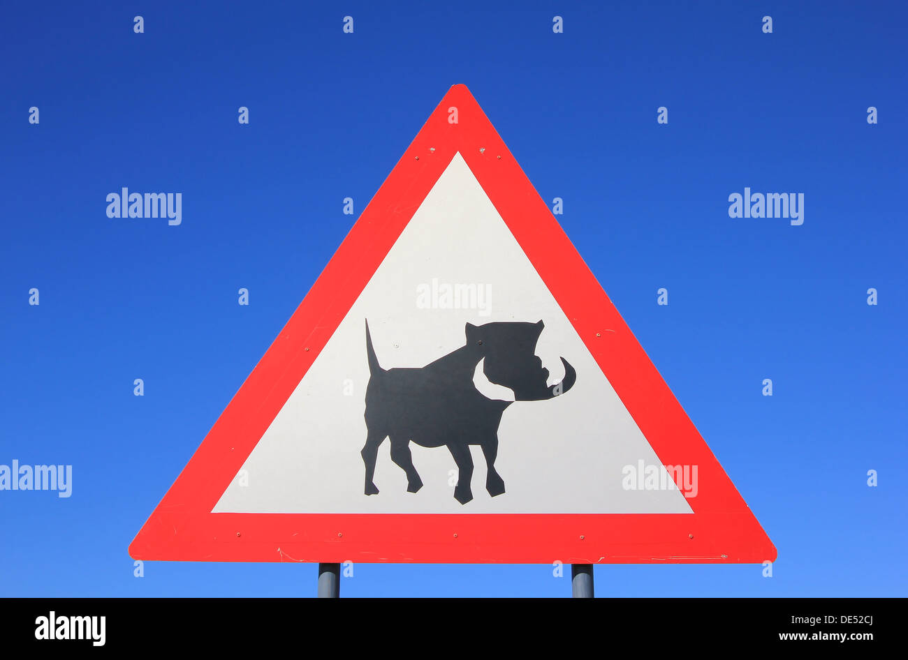 Phacochère - un signe de détresse pour alerter les conducteurs et les usagers des passages à niveau possible et irrégulières par les animaux. Éviter les accidents. Banque D'Images