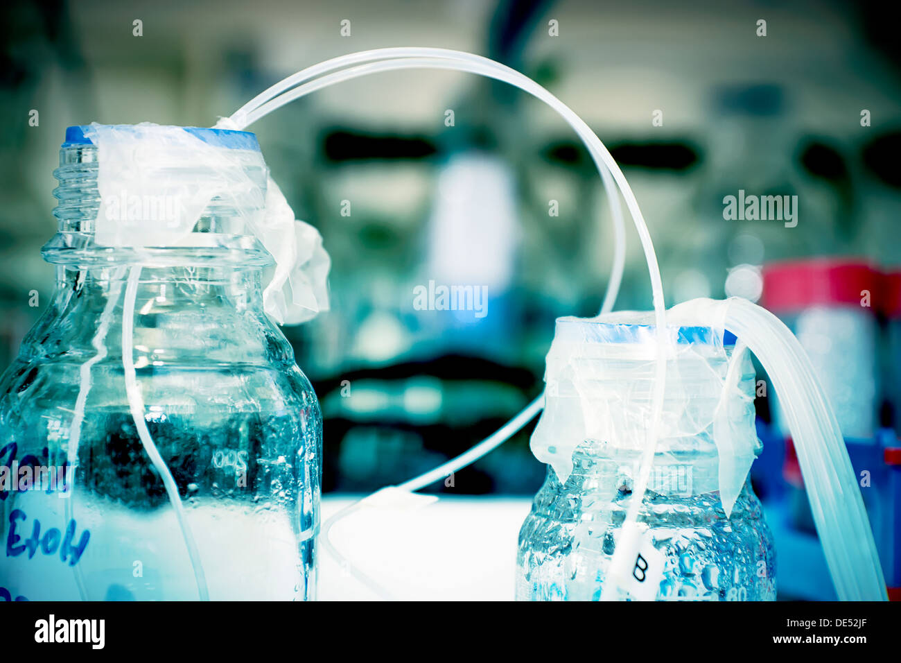 Bouteilles avec des tubes dans un laboratoire de chimie Banque D'Images