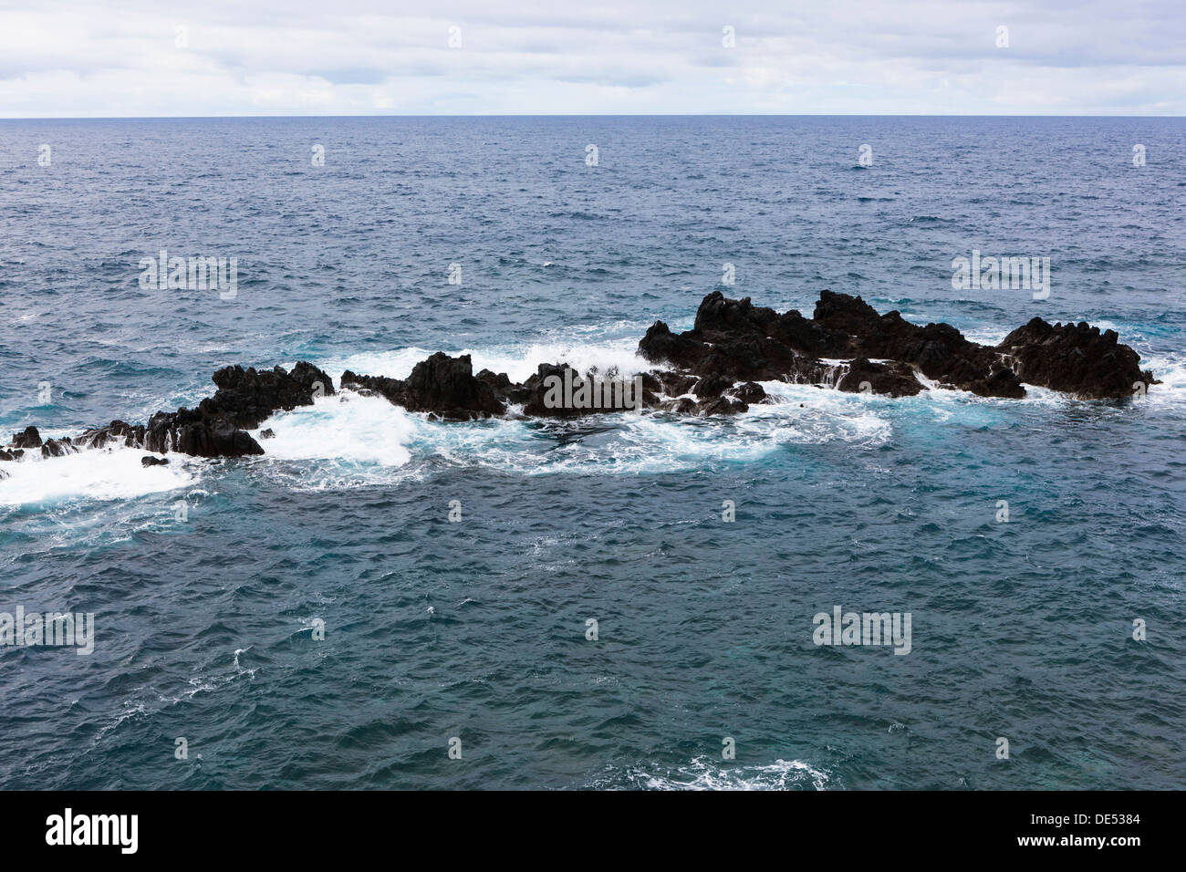 De Corail dans l'océan Atlantique près de Porto, Moinz Lanceiros, Porto Moniz, Madeira, Portugal Banque D'Images