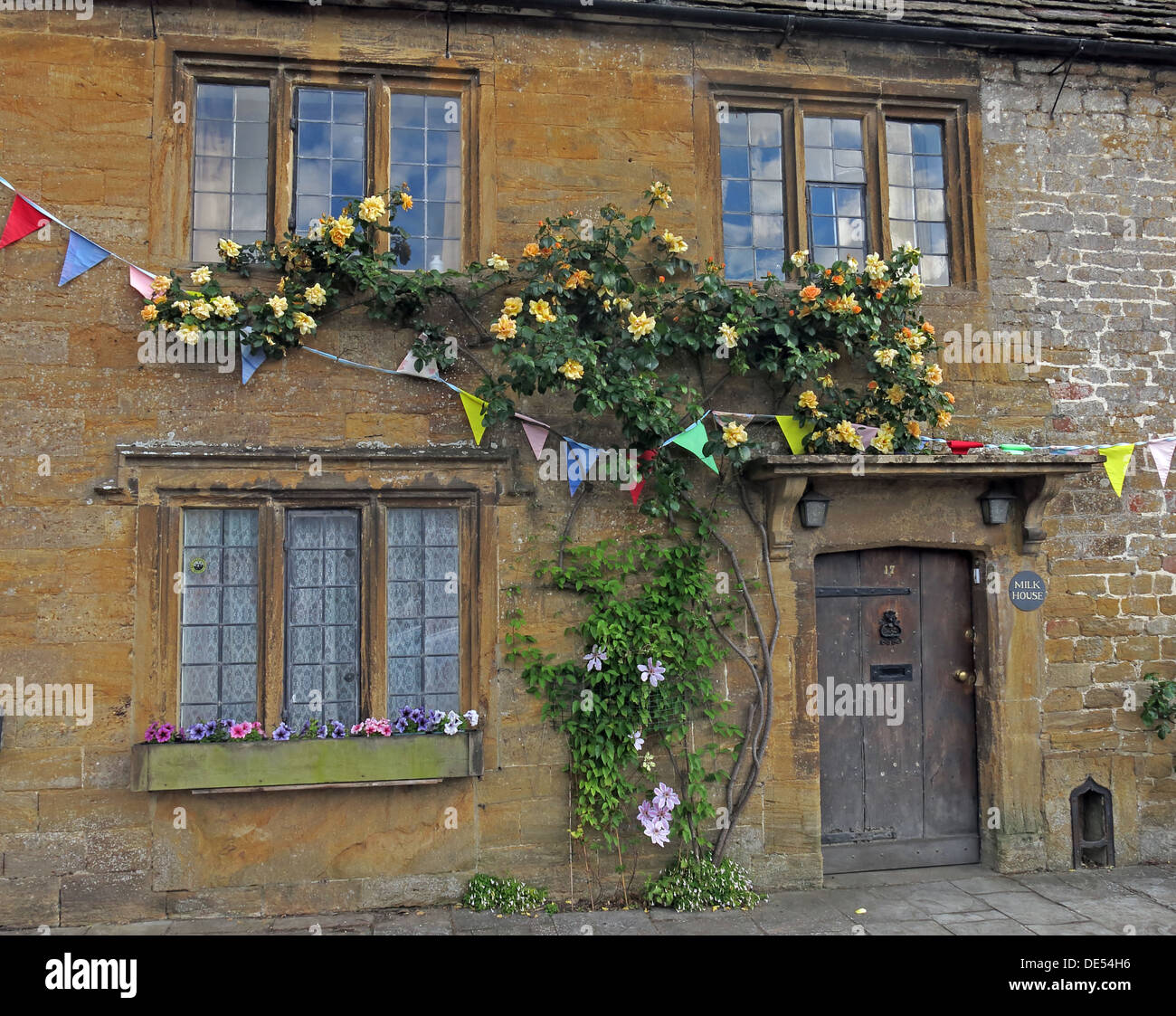 Maison du lait, Montecute,Village sud du Somerset, Angleterre, Royaume-Uni de rosiers grimpants Banque D'Images
