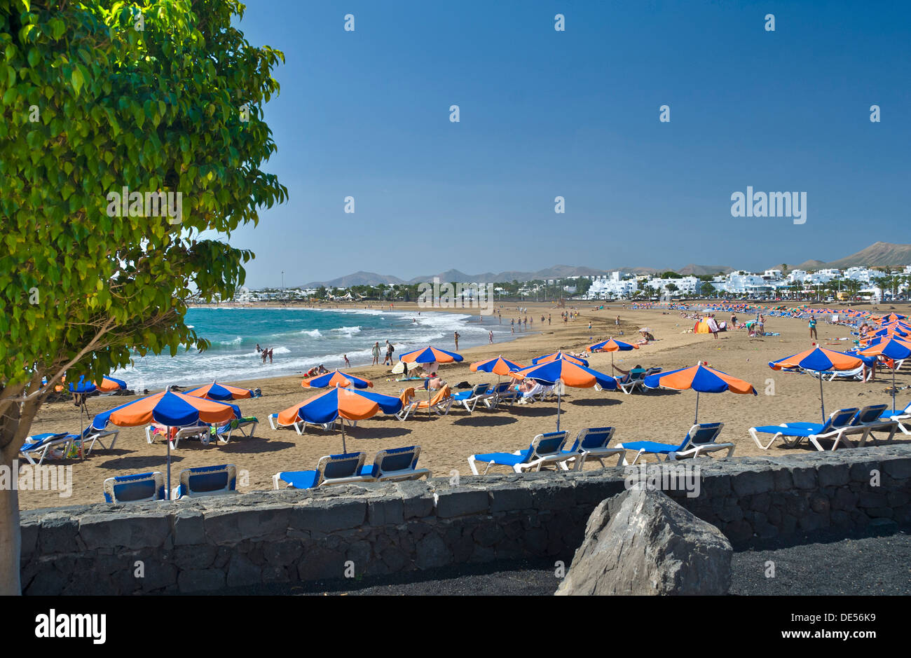 Playa del Carmen parasols parasols sunny côte plage de sable doré avec pare-soleil parasols et chaises longues, Lanzarote, îles Canaries, Espagne Banque D'Images