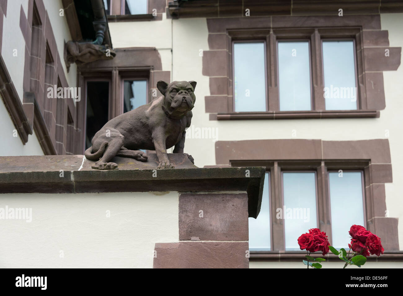 Statue d'un bouledogue avec des roses rouges, Archives d'état de Bâle, Bâle, Suisse Banque D'Images
