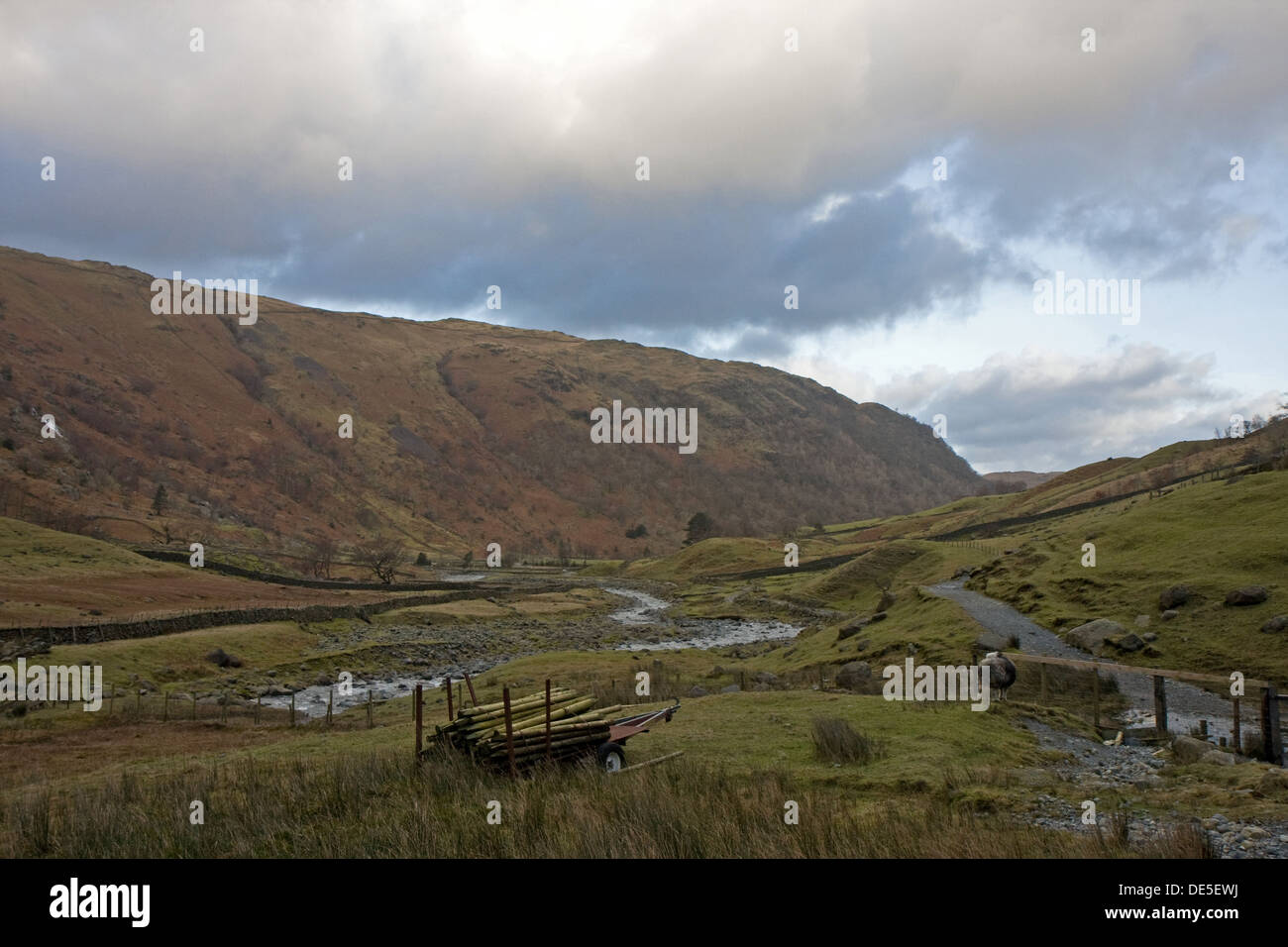 Stonethwaite in Borrowdale, Lake District, Cumbria, England, UK Banque D'Images