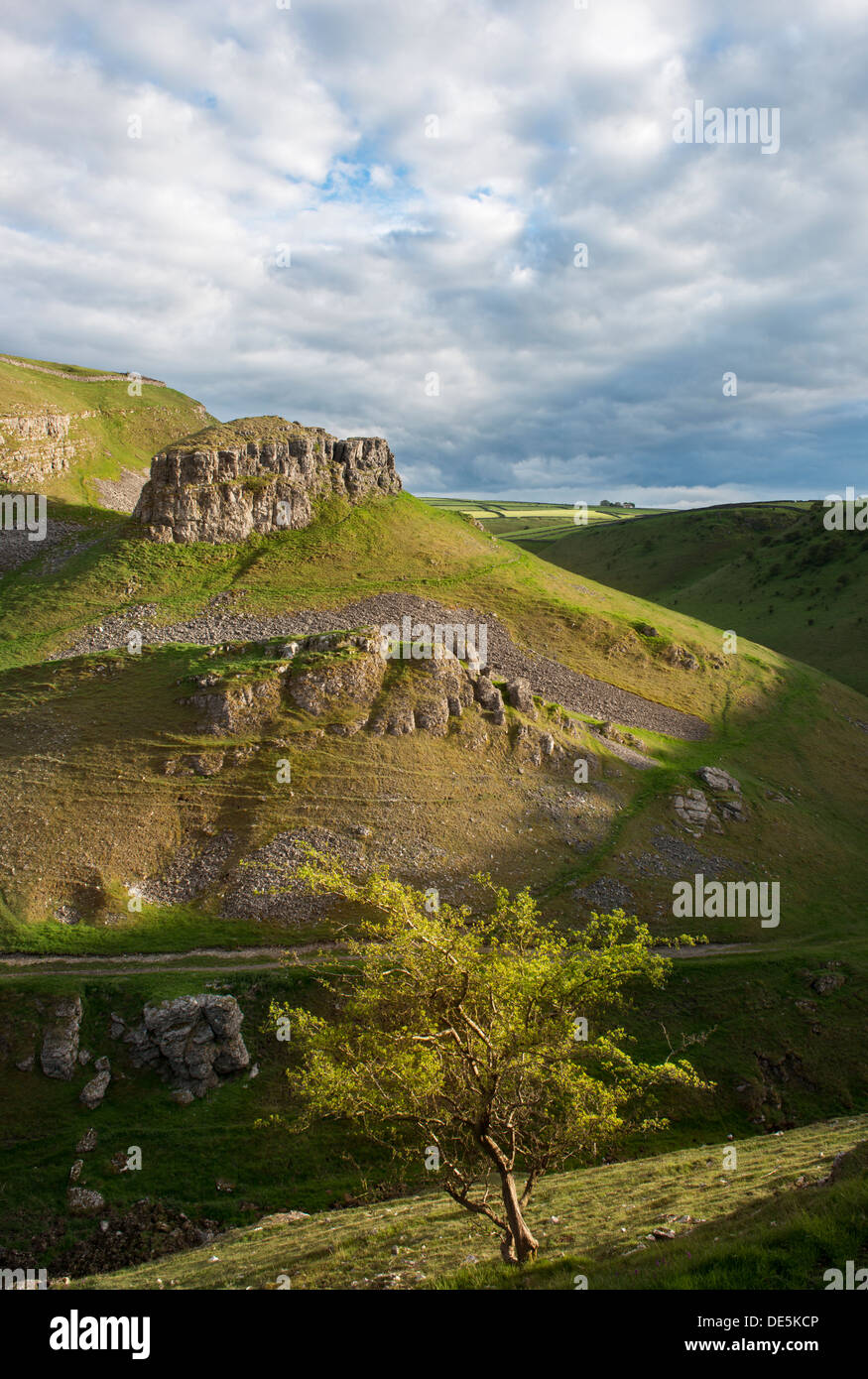 Une vue de Peters Pierre dans Stoney Middleton and Chatsworth Dale avec Hawthorn Bush dans l'avant-plan, Peak District, Derbyshire Banque D'Images