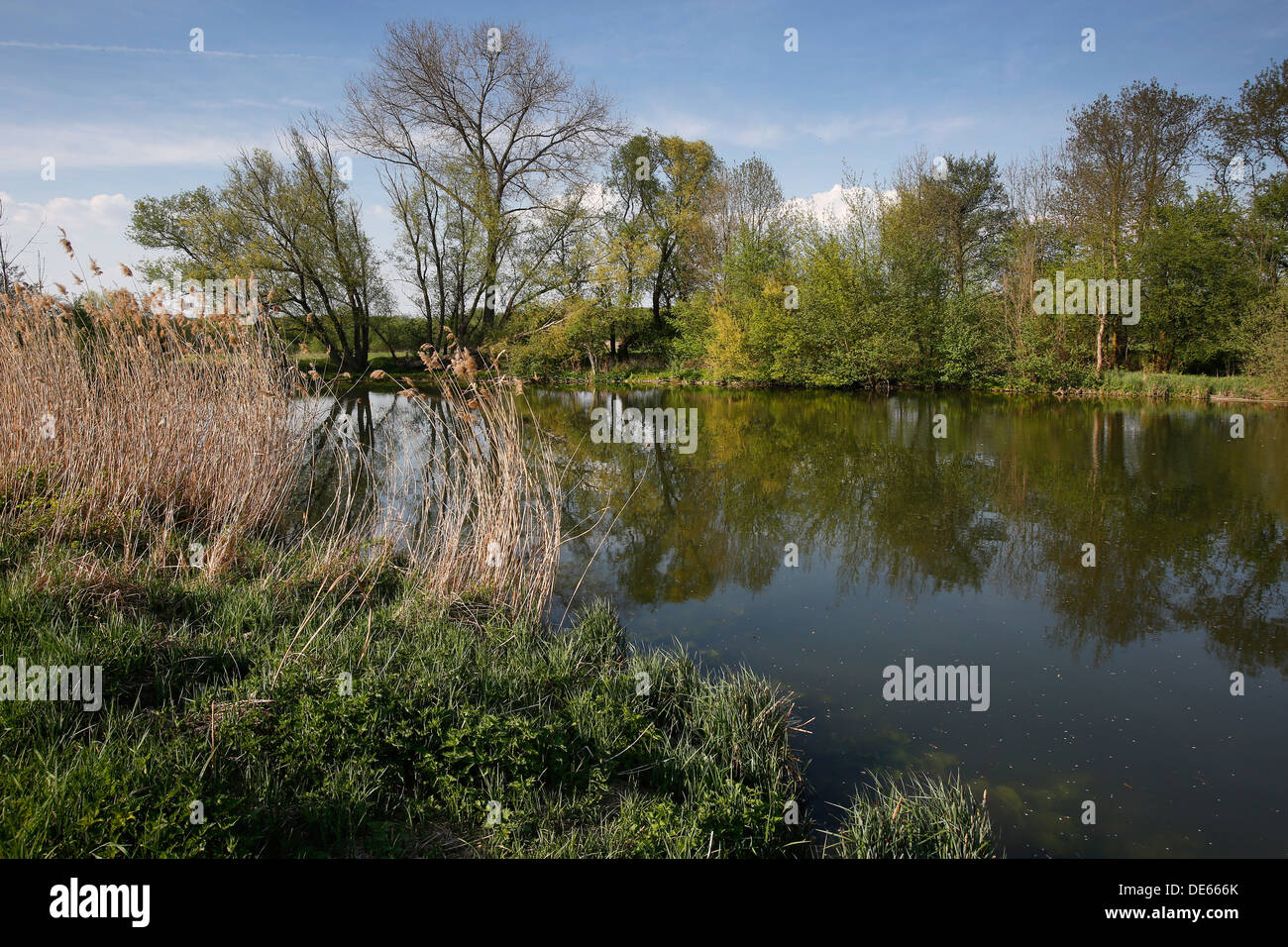 Hamm, Allemagne, projet de vie Lippeaue Banque D'Images