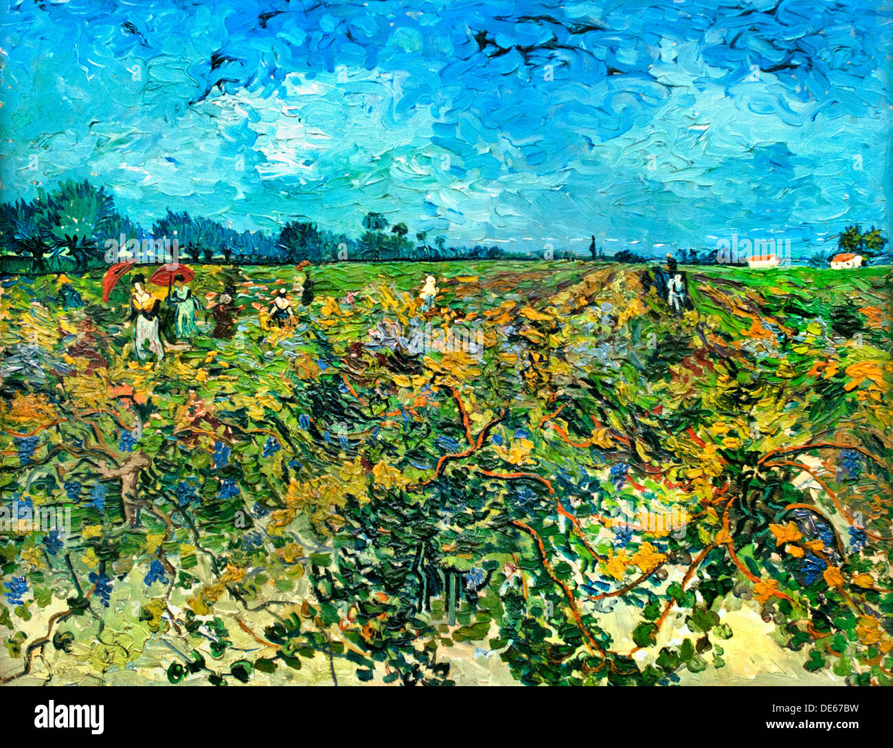 Le vignoble verdoyant 1888 Vincent van Gogh 1853 - 1890 Pays-Bas Néerlandais Banque D'Images