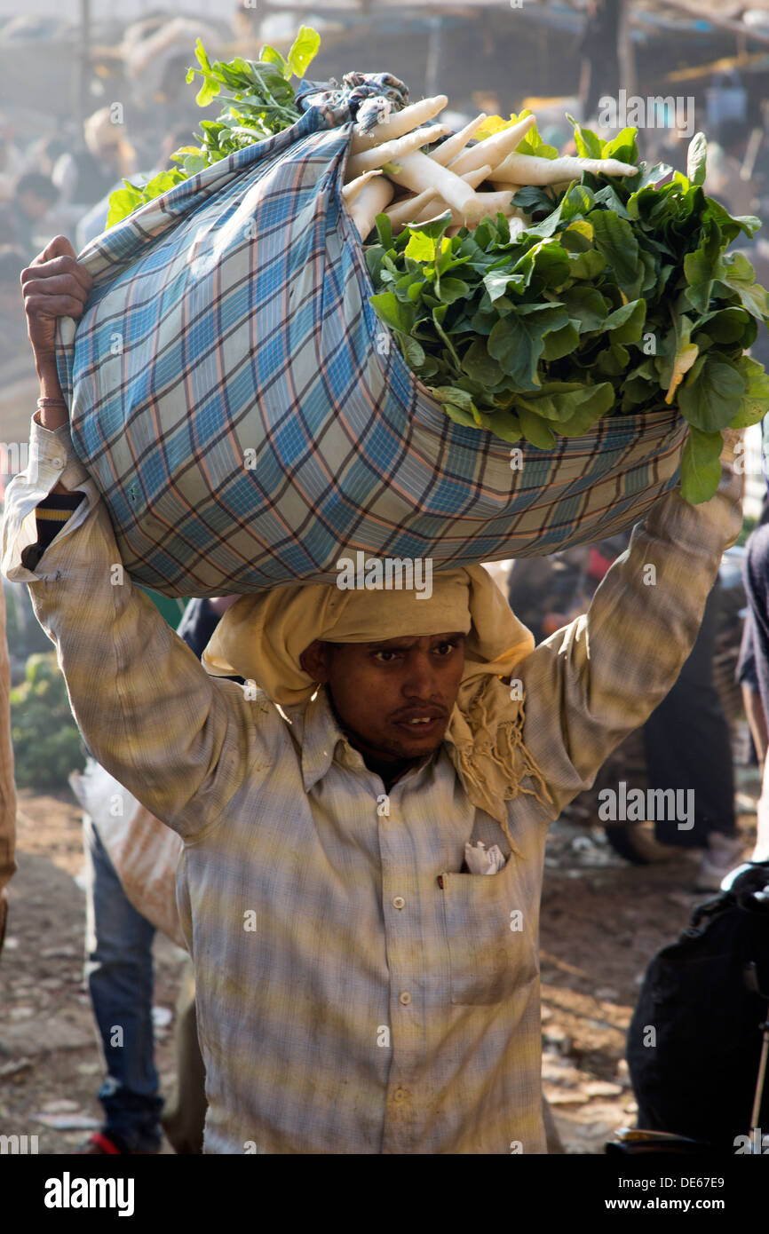 L'Inde, Uttar Pradesh, Agra, homme portant des carottes en légumes du marché Banque D'Images