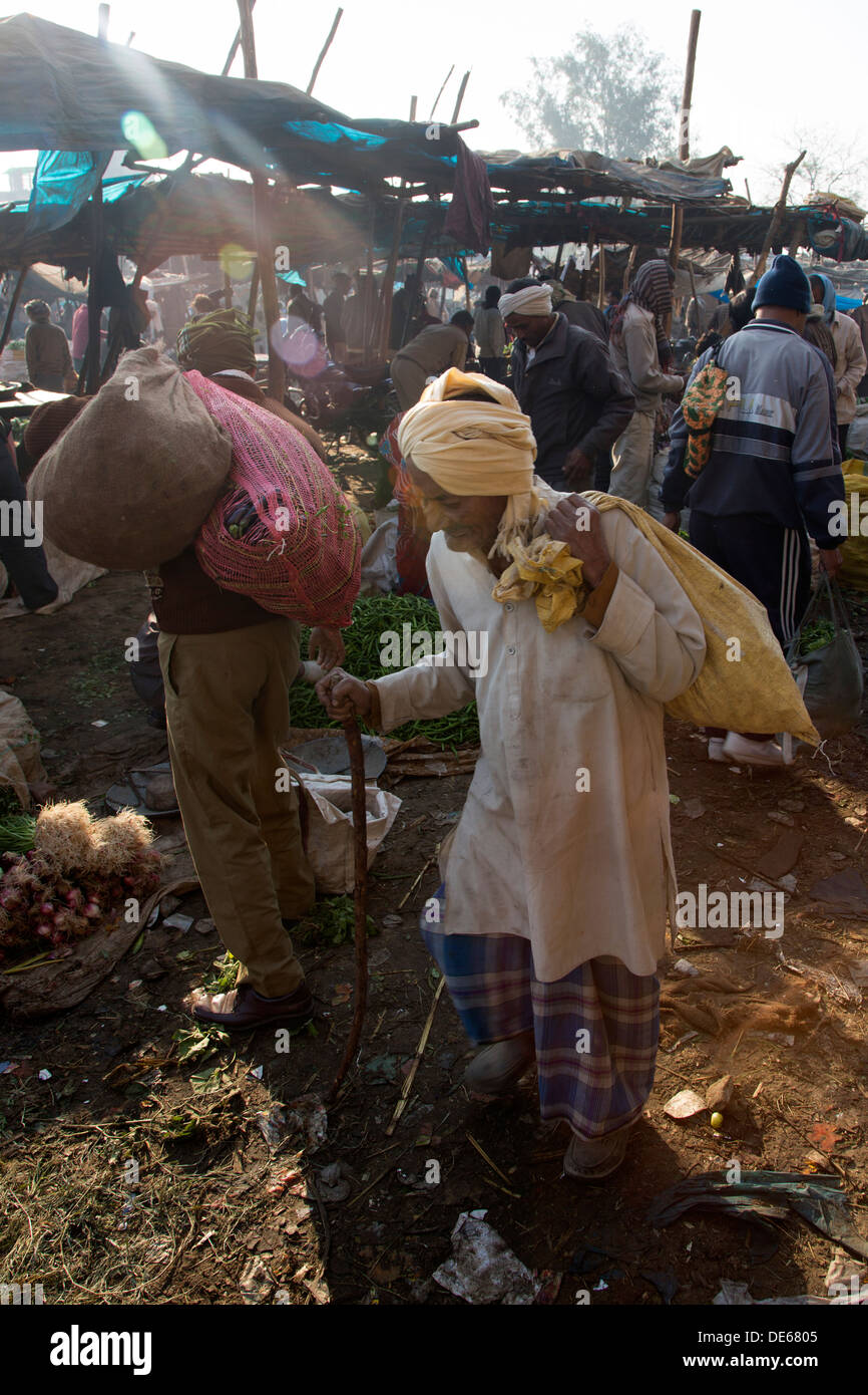 L'Inde, Uttar Pradesh, Agra, vieil homme marchant à travers de légumes du marché Banque D'Images