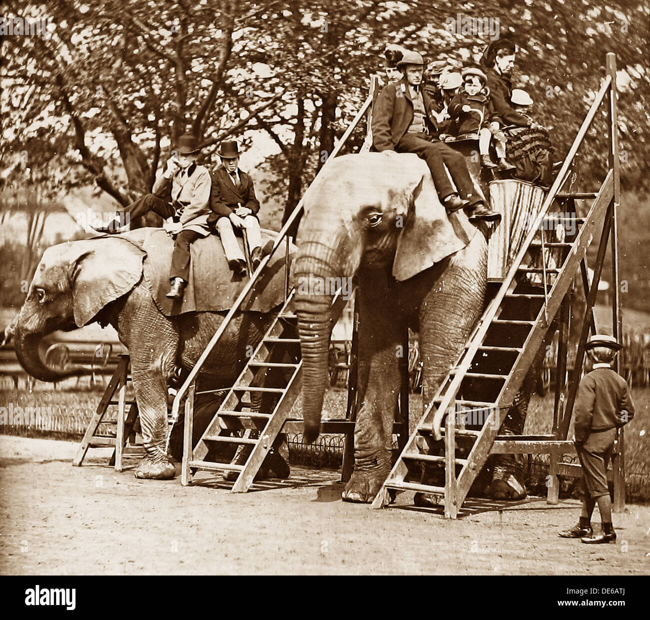 Tour d'éléphant au zoo de l'époque victorienne Banque D'Images