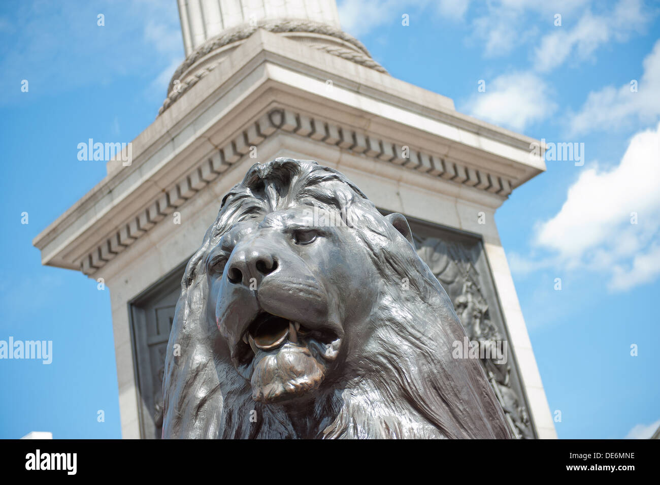 Portrait de l'un des lions en laiton au pied de la Colonne Nelson à Trafalgar Square, Londres, contre un ciel bleu. Banque D'Images