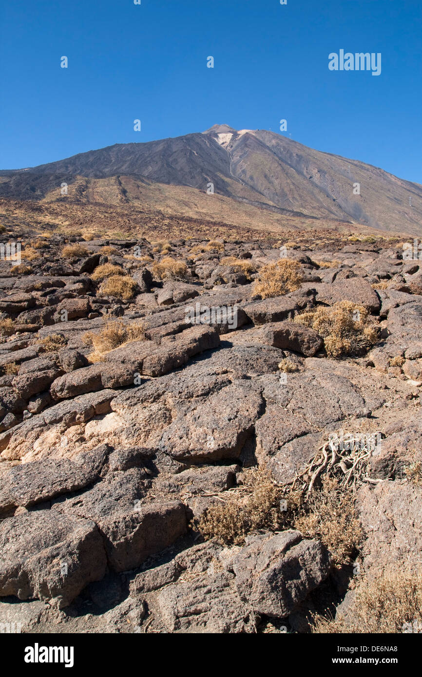 La lave pahoehoe au pied du mont Teide à Tenerife, Îles Canaries. Banque D'Images