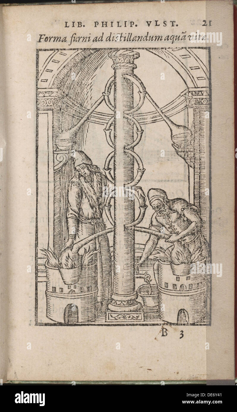 Appareils alchimiques (De : Liber de secretis naturae), 1556-1557. Artiste : Ulstadius (Ulstadt), Philipus (Philip) (actif 16e siècle) Banque D'Images