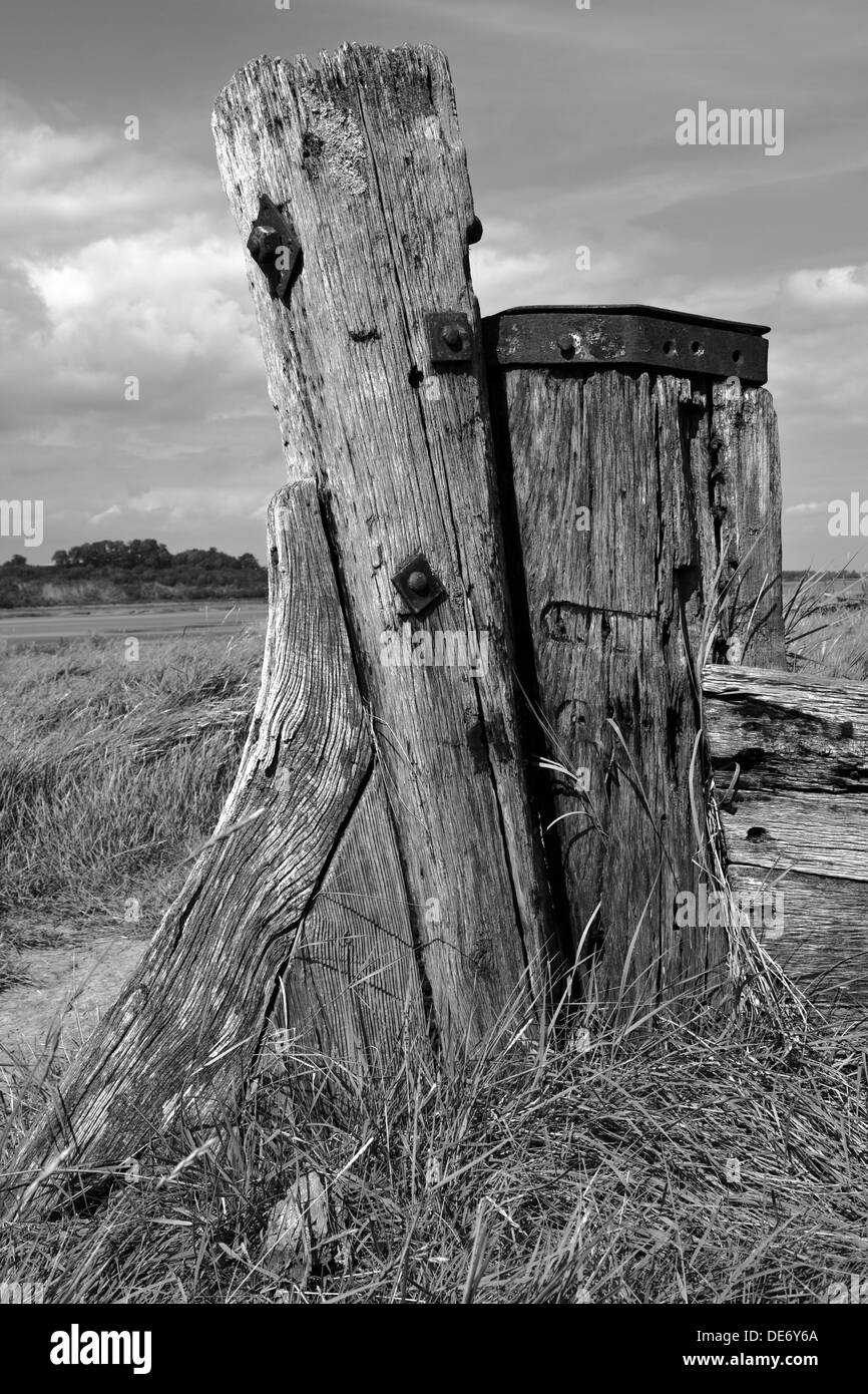 Purton barges navire cimetière sur les rives de la rivière Severn dans le Gloucestershire Banque D'Images