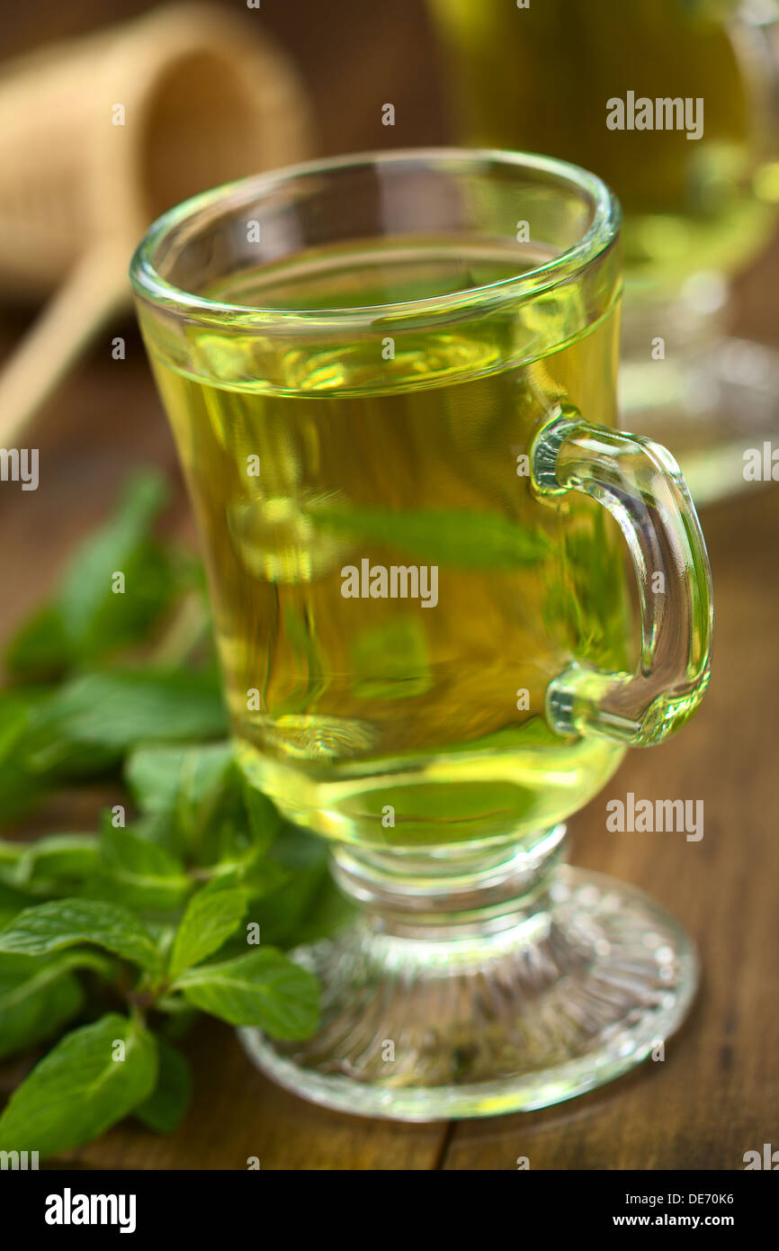 Thé à la menthe fraîchement préparés hors de feuilles fraîches servi en tasse en verre avec des feuilles sur le côté et le tamis dans le dos Banque D'Images