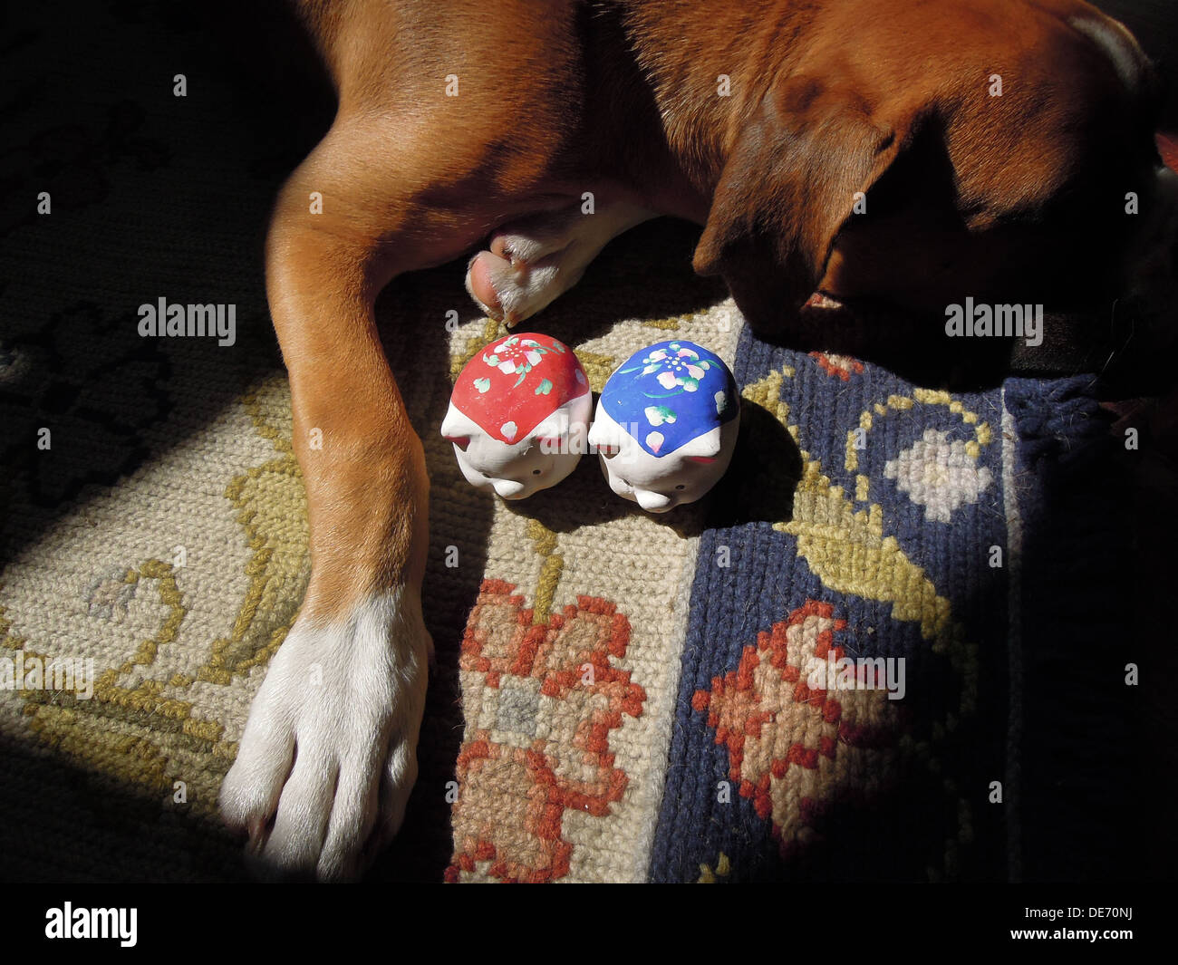 Un chiot boxer et deux cochons colorés d'argile Banque D'Images