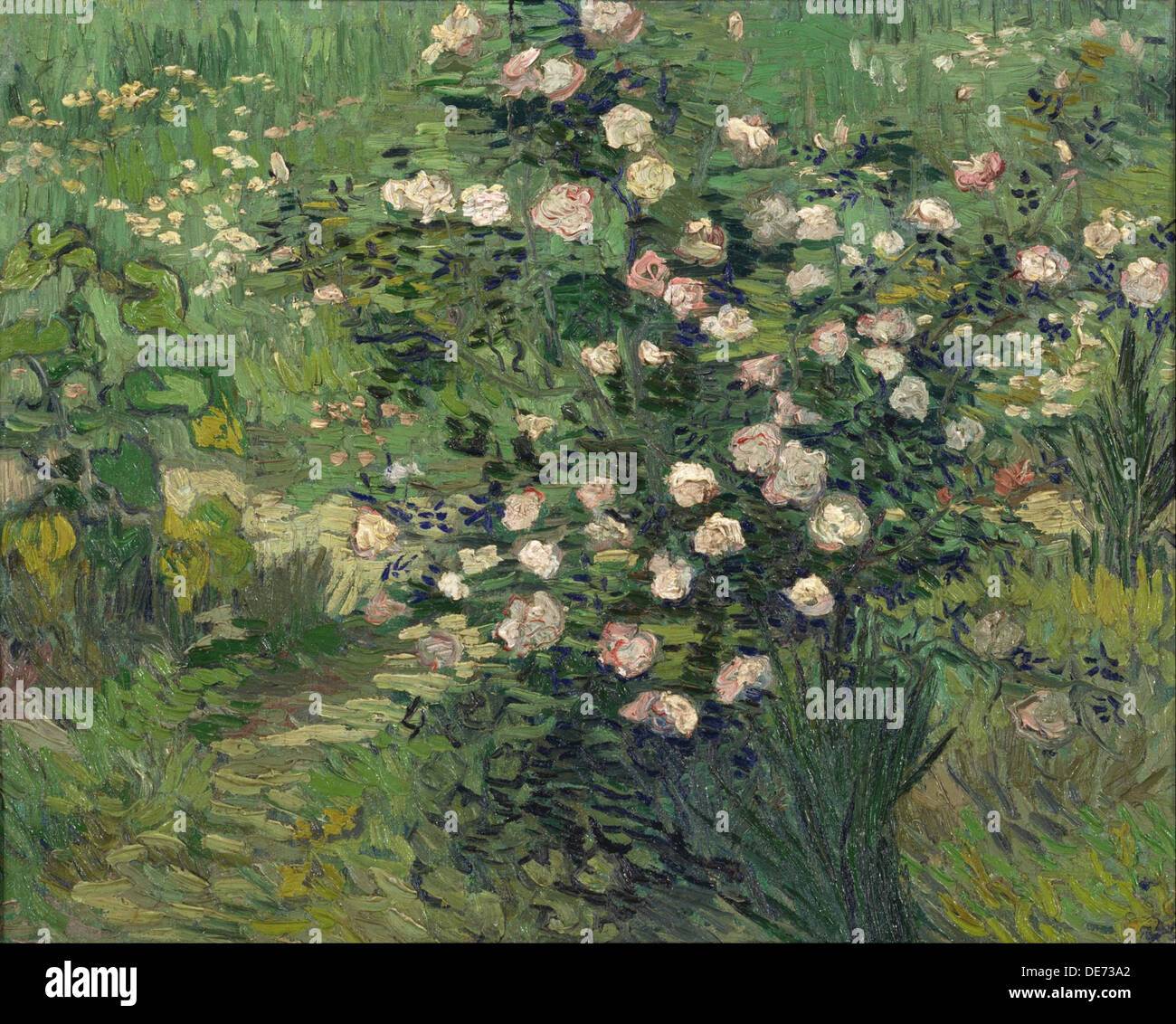 Roses, 1889. Artiste : van Gogh, Vincent, (1853-1890) Banque D'Images