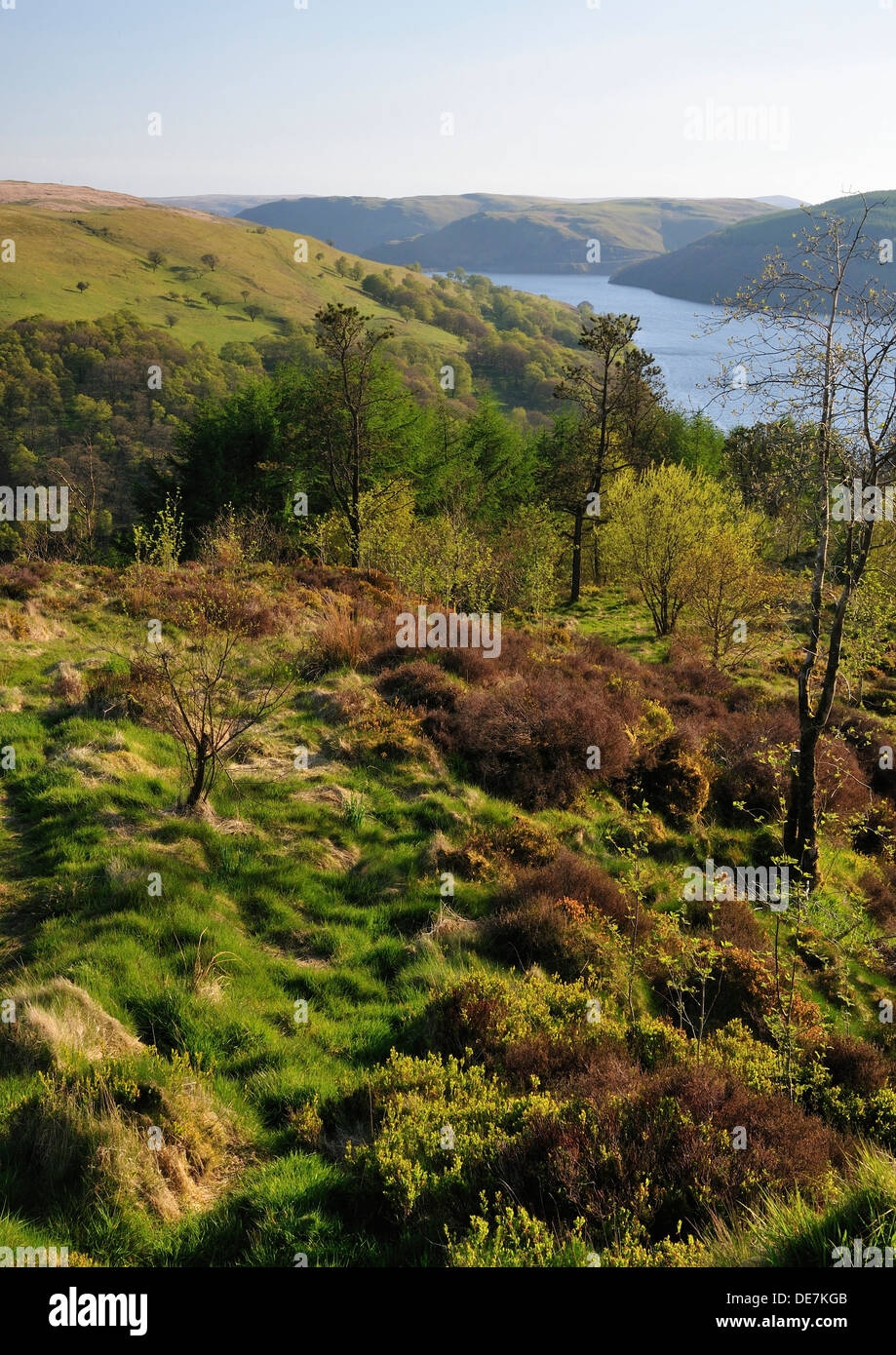 Llyn Brianne reservoir, Cambrian Mountains, centrale de galles de viewpoint de SN811501 Banque D'Images