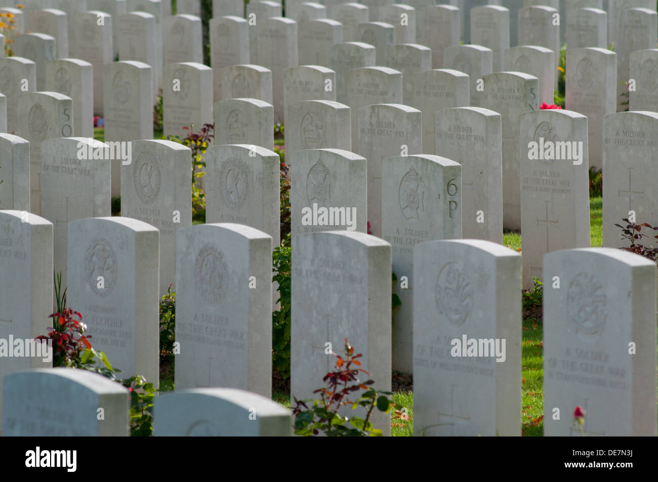 Masse de stèles, pierre du souvenir dans le bois de Delville WW1 d'Afrique du Sud, Somme, France Banque D'Images