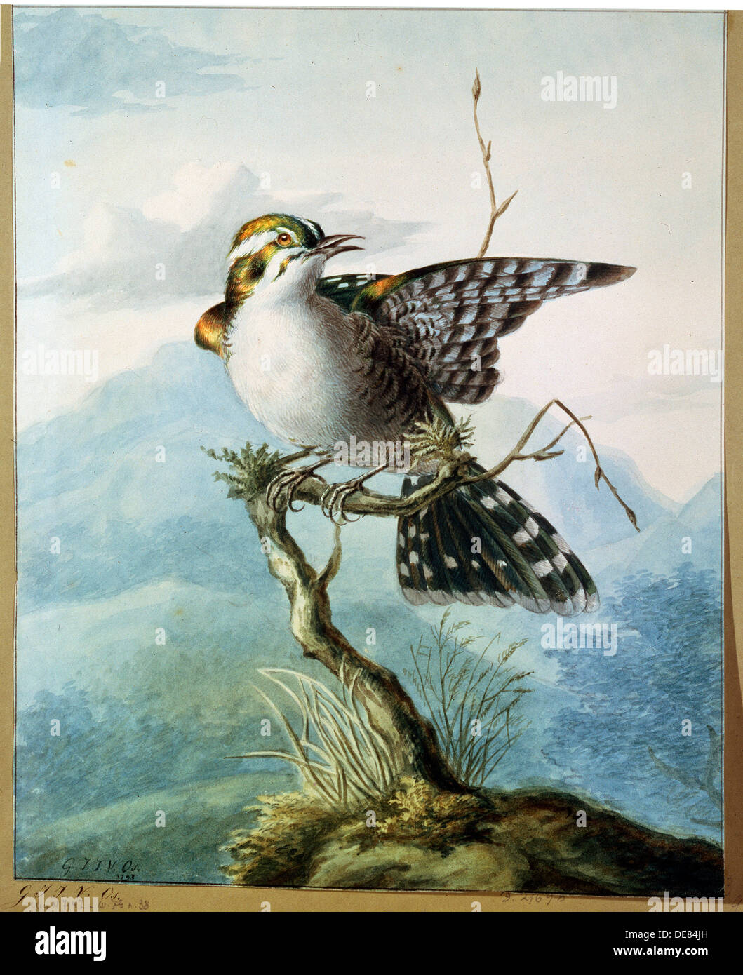 "Un petit oiseau', 1798. Artiste : Georgius Jacobus Johannes van Os Banque D'Images