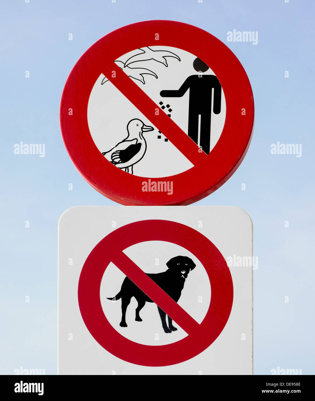 Les panneaux d'interdiction d'interdire les chiens d'entrer dans la plage et les gens se nourrir les mouettes le long de la côte de la mer du Nord, de l'Europe Banque D'Images