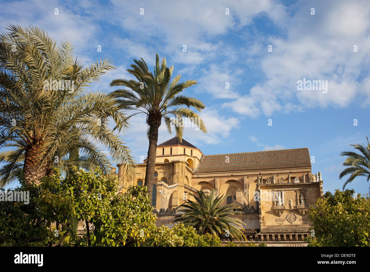 Jardin de la Cour et cathédrale Mezquita (la Grande Mosquée) architecture historique à Cordoue, Espagne, Andalousie. Banque D'Images