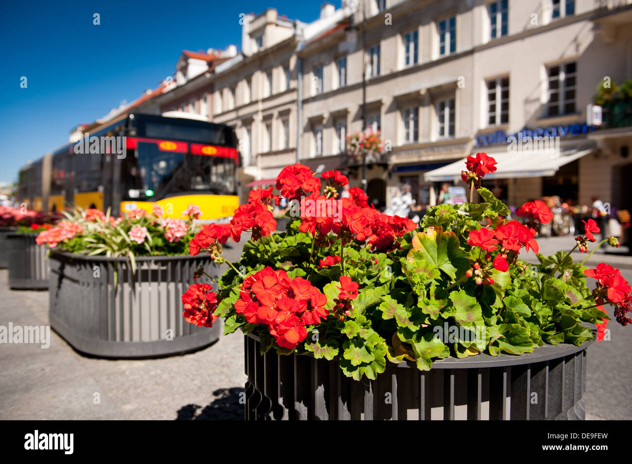 La rue Nowy Swiat et rouge fleurs (géraniums) Banque D'Images
