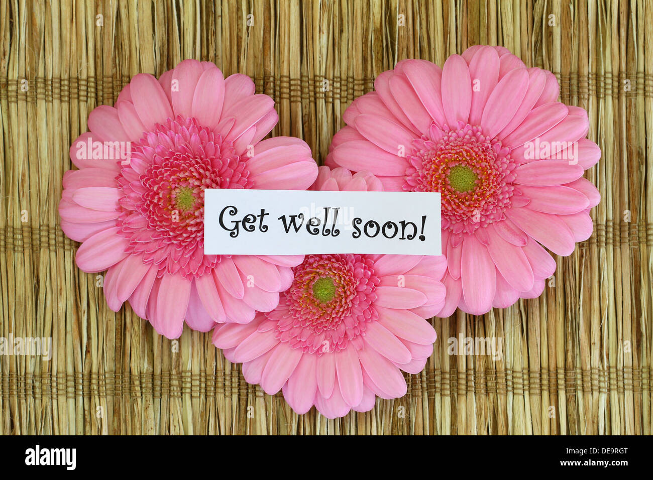 Get Well Soon Card Flowers Banque De Photographies Et D images Haute get-well-soon-card-flowers-banque-de-photographies-et-d-images-haute