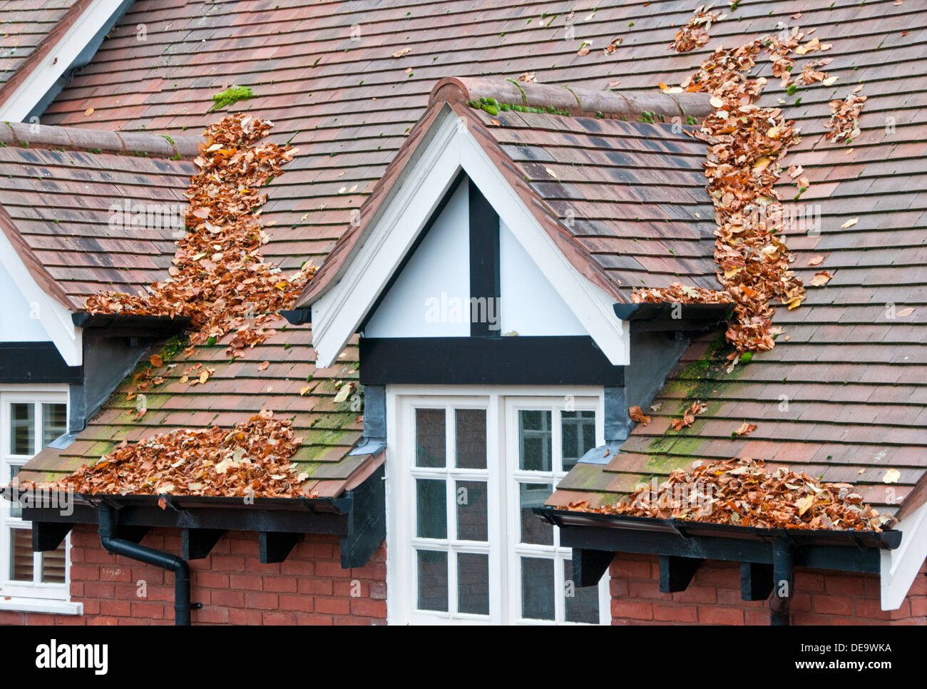 Les caniveaux plein de feuilles d'automne, Cheshire, England, UK Banque D'Images