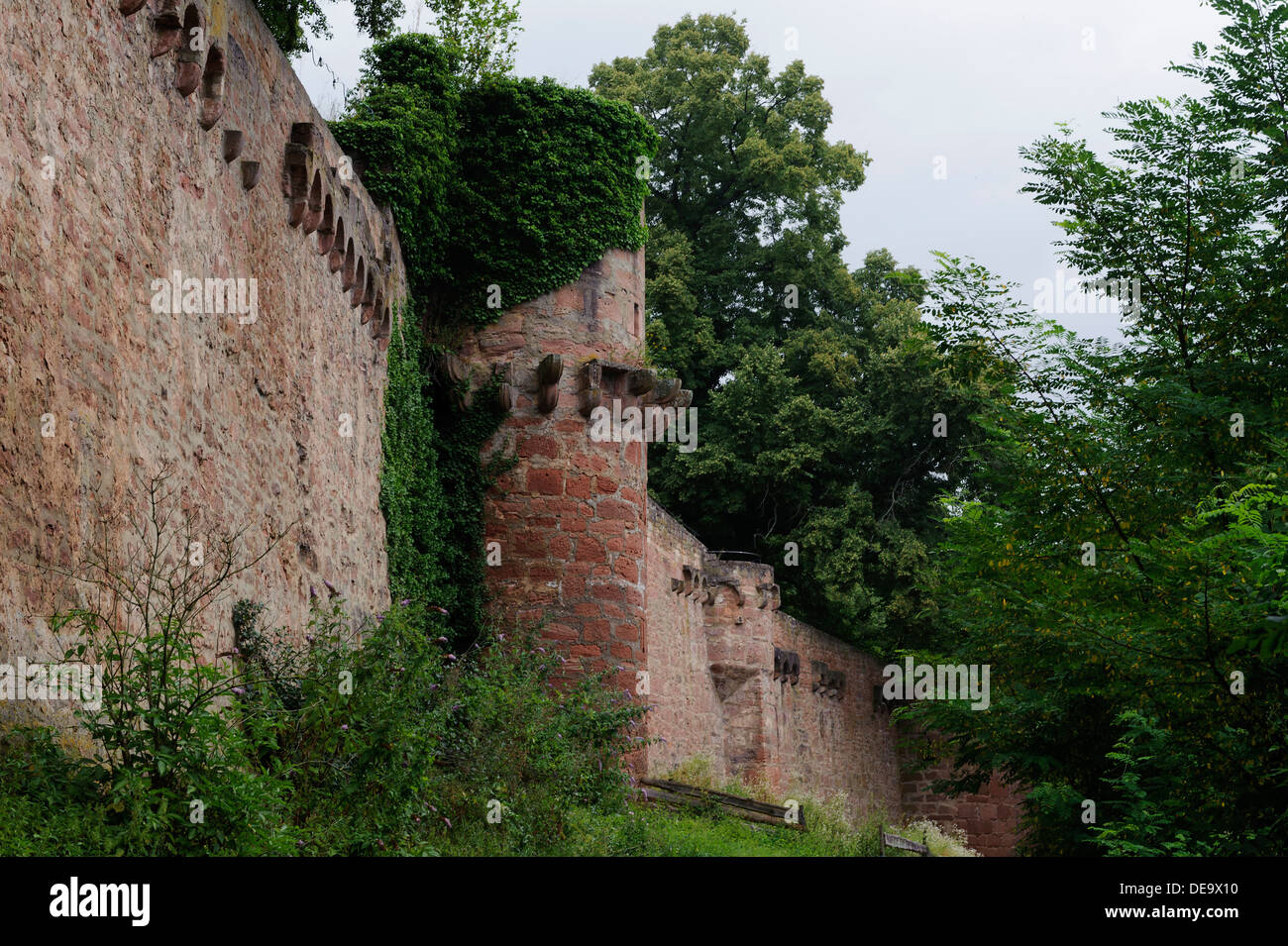 Dans Henneburg Château Stadtprozelten en Basse Franconie, Bavière, Allemagne Banque D'Images