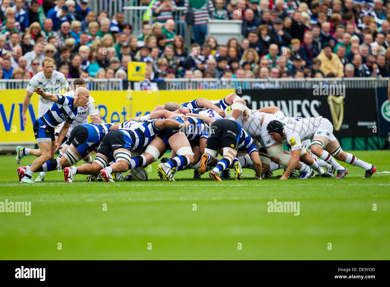 BATH, Royaume-Uni - Samedi 14 septembre 2013. Action de la Aviva Premiership match entre Bath Rugby et Leicester Tigers. Credit : Graham Wilson/Alamy Live News Banque D'Images