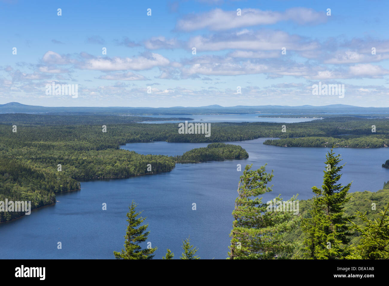 C'est une vue à partir du côté de Beech Mountain à l'ensemble de Echo Lake et de Mount Desert Island au continent du Maine. Banque D'Images