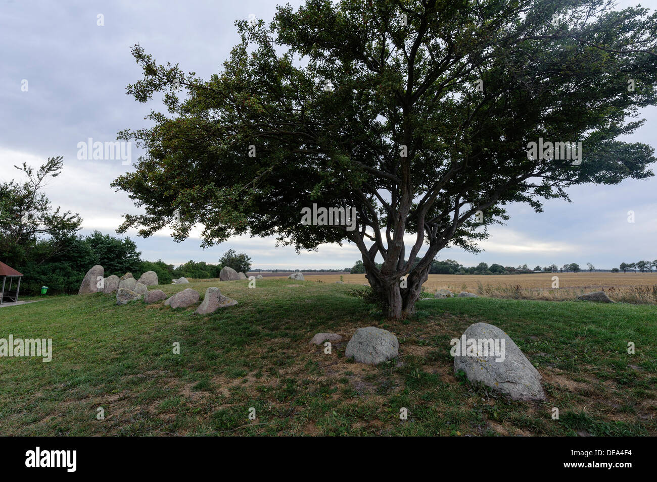 Tombe mégalithique du néolithique près de Nobbin, île de Rügenl, Mecklenburg-Vorpommern, Allemagne Banque D'Images