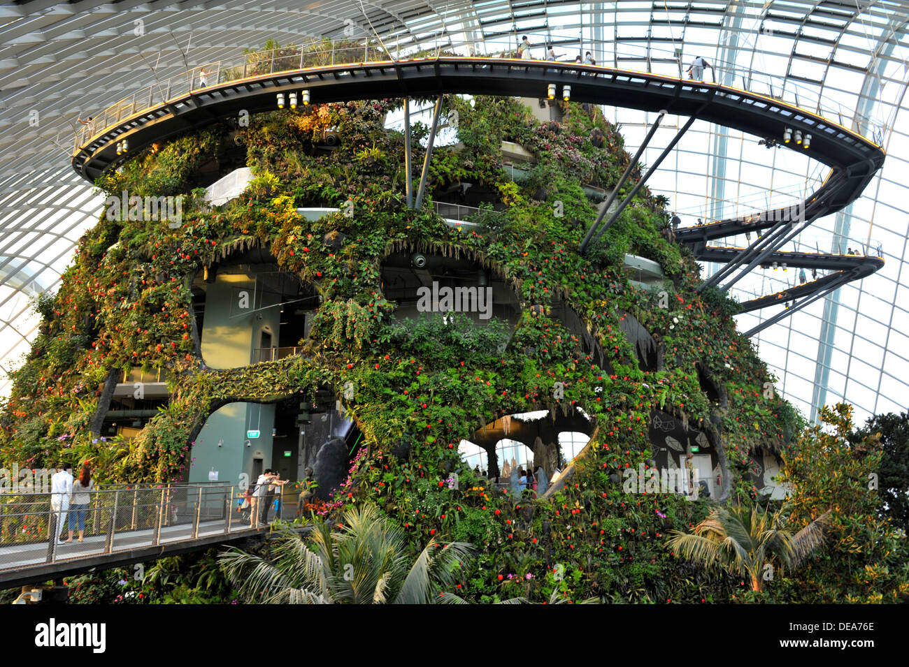 Attractions touristiques de Singapour - l'intérieur de la forêt du nuage d'hiver dans les jardins de la baie Banque D'Images