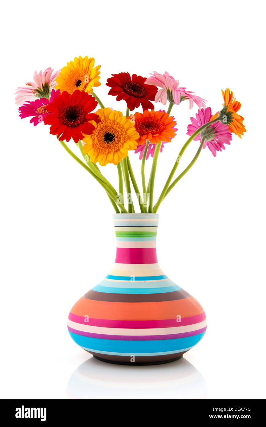 Bouquet coloré fleurs Gerber dans vase rayé moderne Banque D'Images