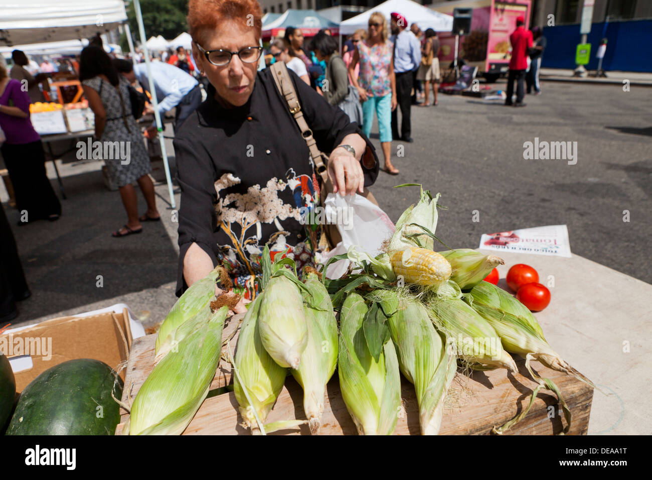 Femme l'achat des fruits au marché de fermiers - Washington, DC USA Banque D'Images