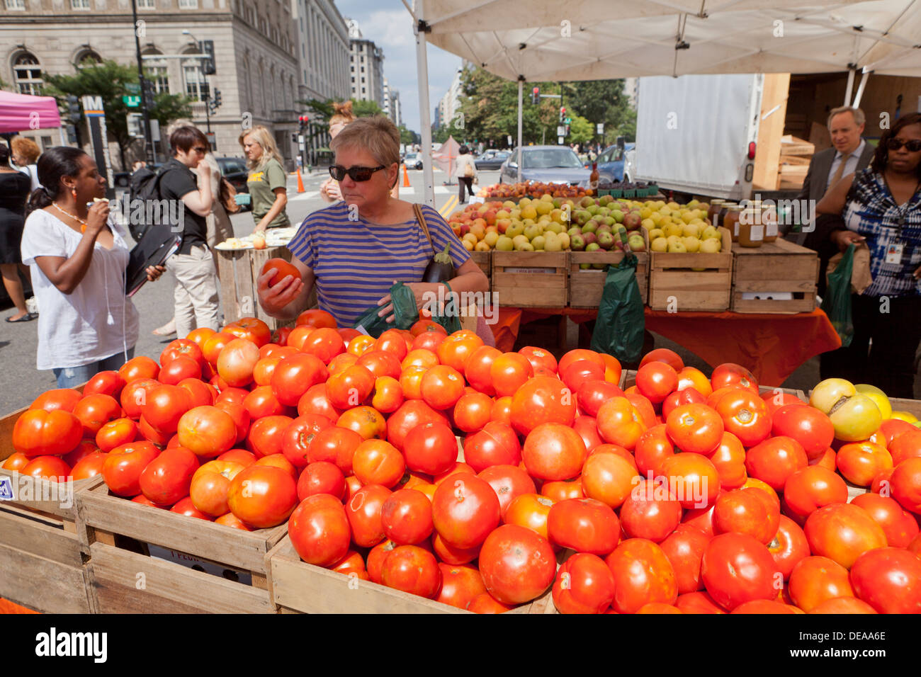L'achat de femme au marché de producteurs de tomates fraîches - Washington, DC USA Banque D'Images