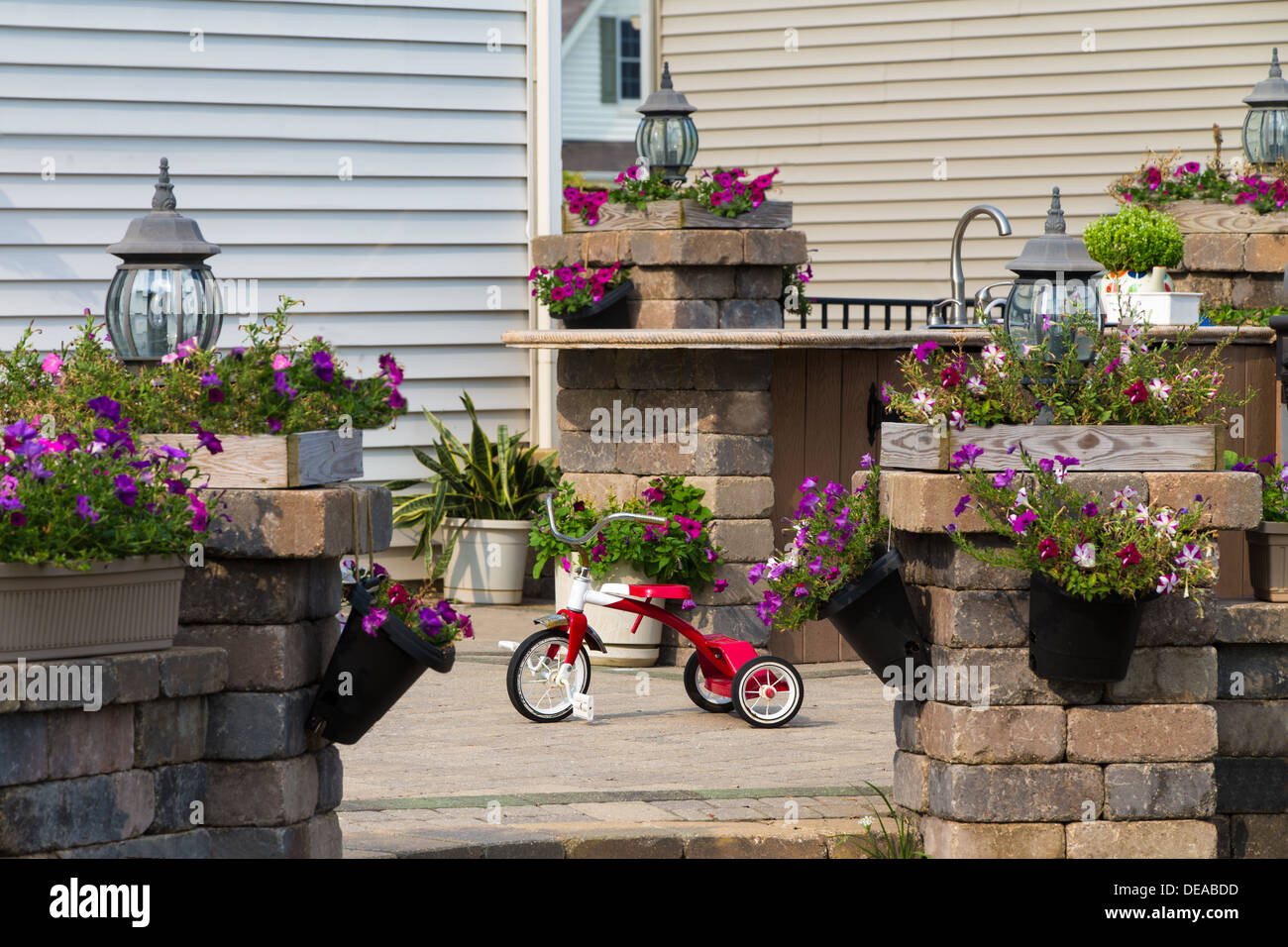 Afficher dans une entrée d'un tricycle rouge enfants stationné au soleil dans une cour entre les jolies plantes en pot Banque D'Images