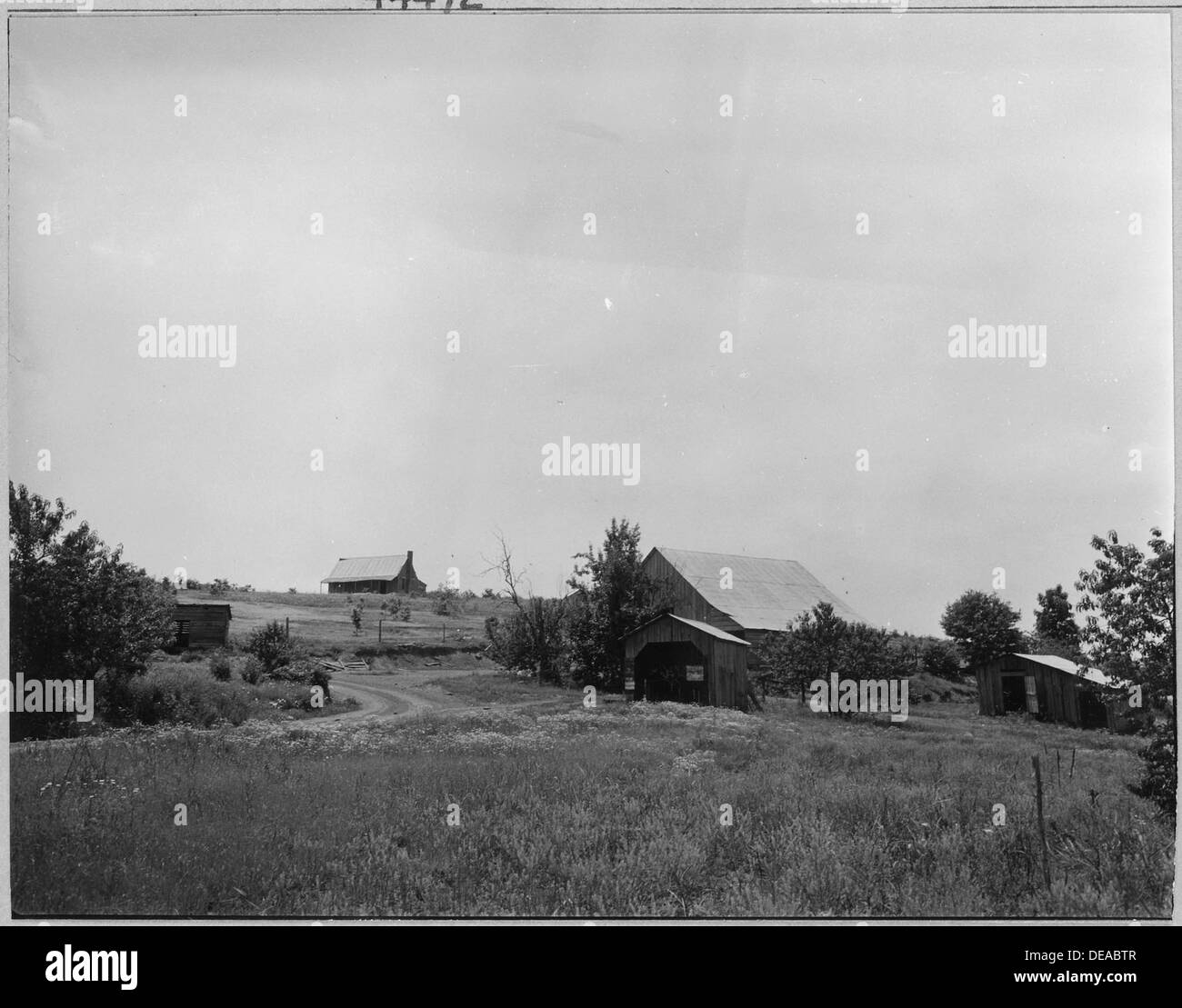 Coosa Valley, Alabama. Les cabanes agricoles abandonnés sur les réserves. 56 Banque D'Images