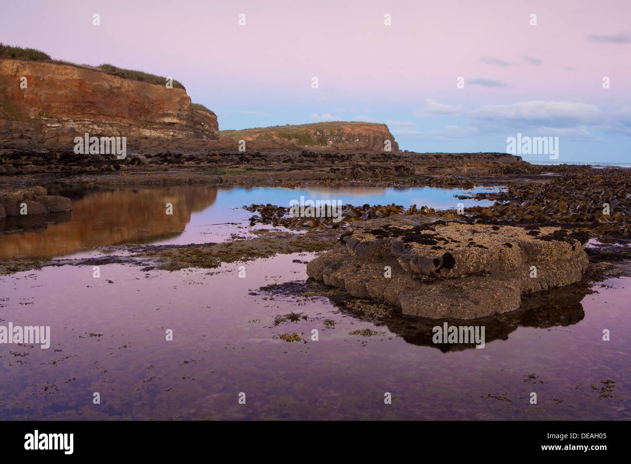 Coucher du soleil à la forêt pétrifiée à Curio Bay, île du Sud, Nouvelle-Zélande Banque D'Images