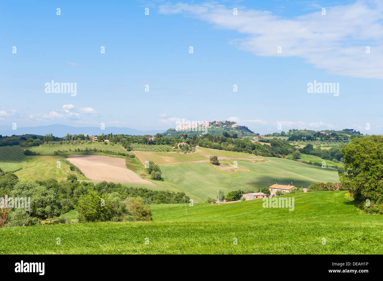 Paysage près de Pienza Toscane Banque D'Images