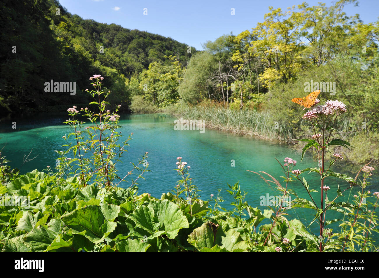 La Croatie, le parc national des Lacs de Plitvice Banque D'Images