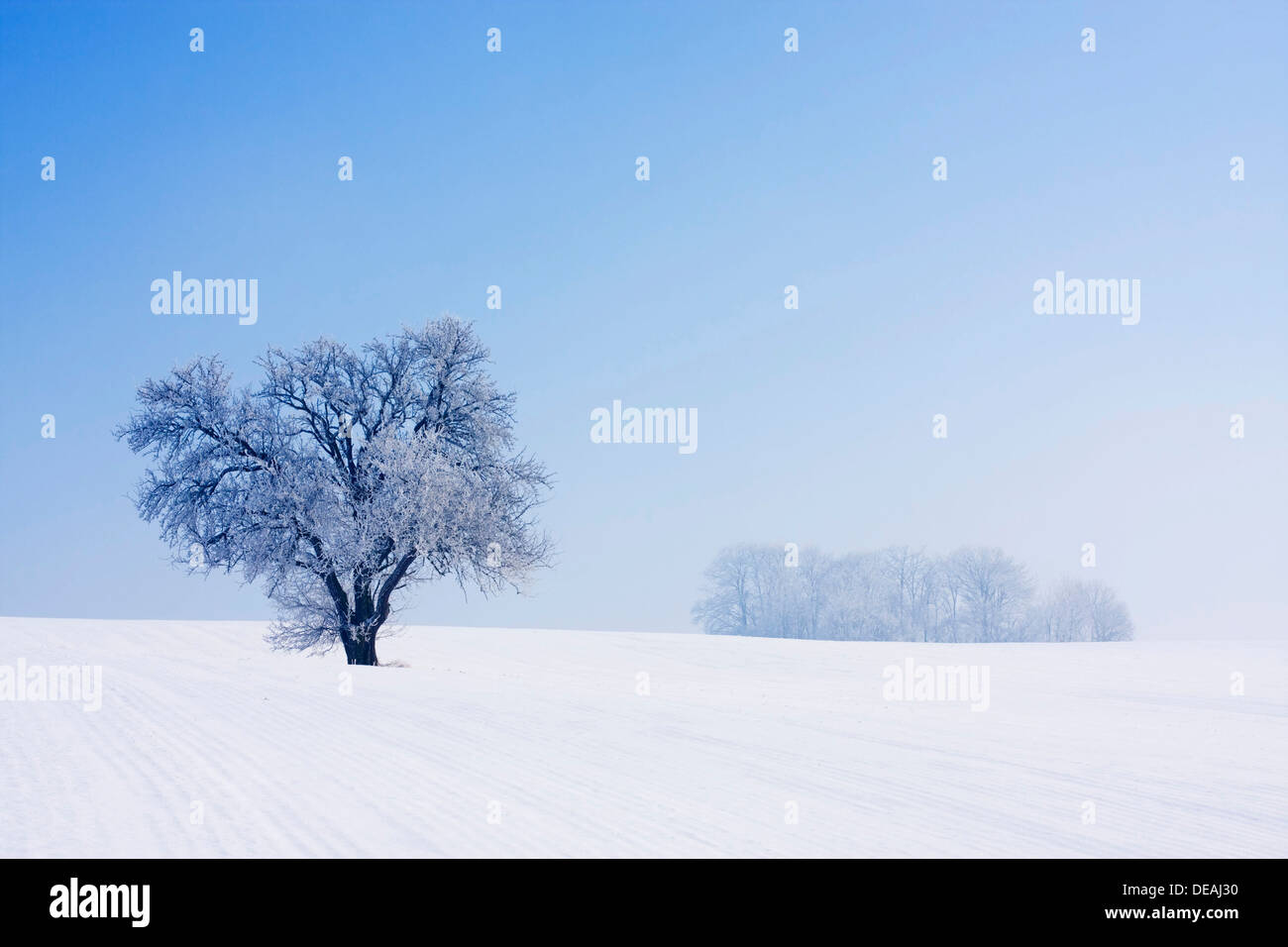 Paysage d'hiver près de Oldrichovice, Région de Zlin, République Tchèque, Europe Banque D'Images