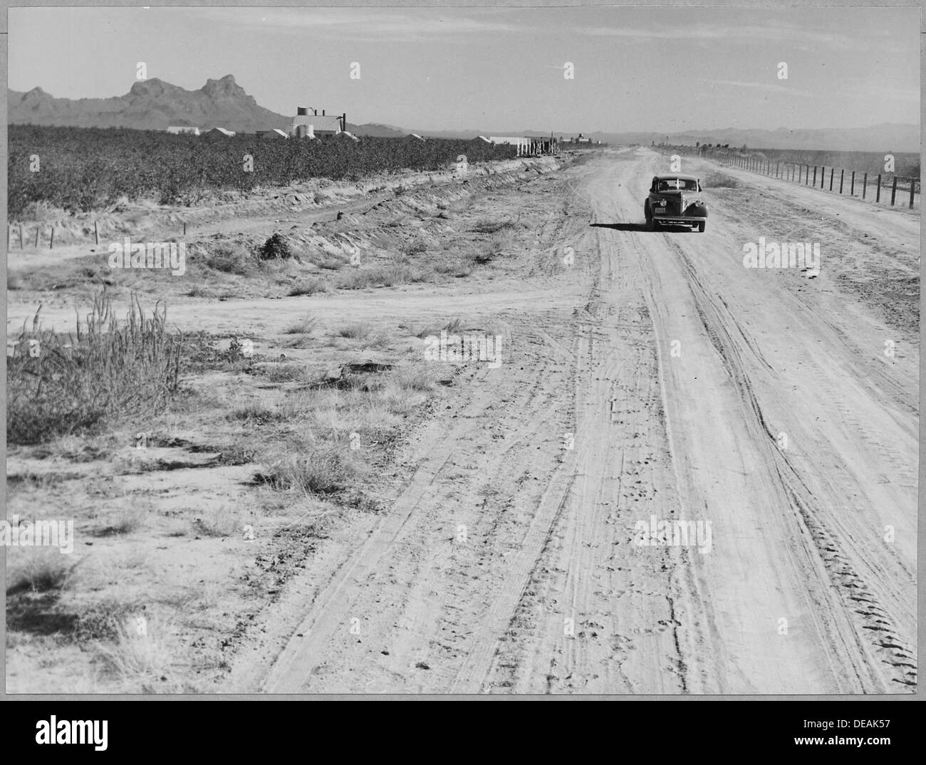 Nouvelles terres cultivables près d'Eloy, Arizona, dans le district du comté de Pinal, indiquant une expansion de l'activité agricole. Les terres sont cultivées pour augmenter la production de coton dans la région. Banque D'Images