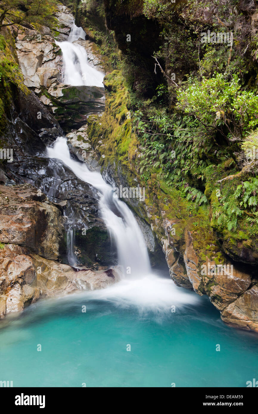 Cascade de Milford Sound road, le Parc National de Fiorland, île du Sud, Nouvelle-Zélande Banque D'Images