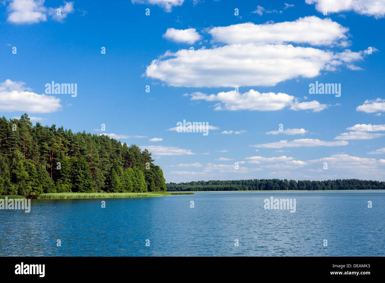Zatoka Slupianska bay, lac Wigry, Wigierski National Park, la Pologne, l'Europe Banque D'Images