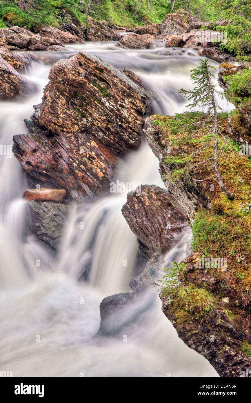 Torsbjørka Torsbjorka Skarvan, rivière, et Roltdalen National Park, Skarvan og Roltdalen, Nord-Trøndelag, comté de Nord-Trondelag Banque D'Images