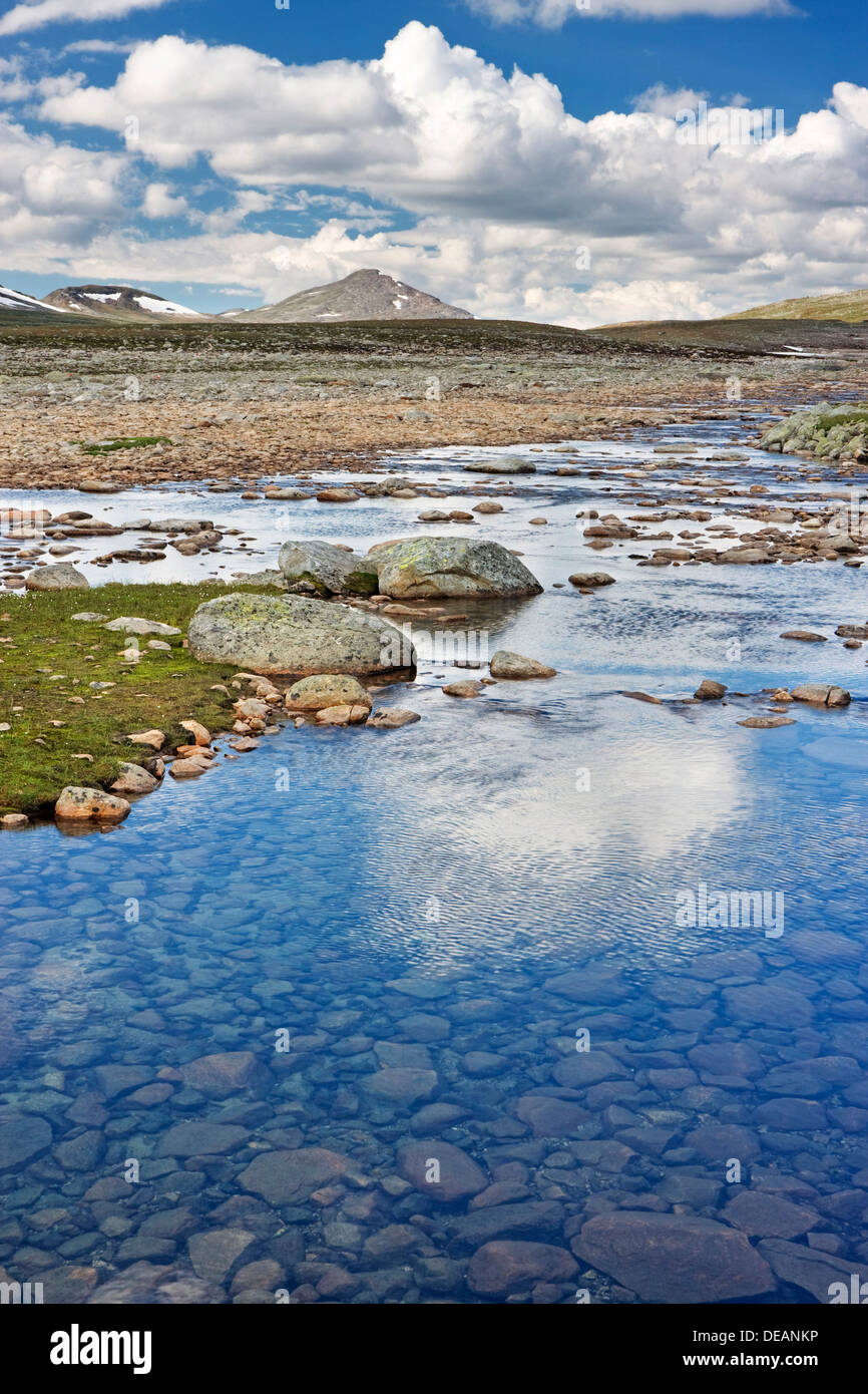 Namnlauselva Brook, Saltfjellet-Svartisen National Park, comté de Nordland, Norvège, Scandinavie, Europe Banque D'Images