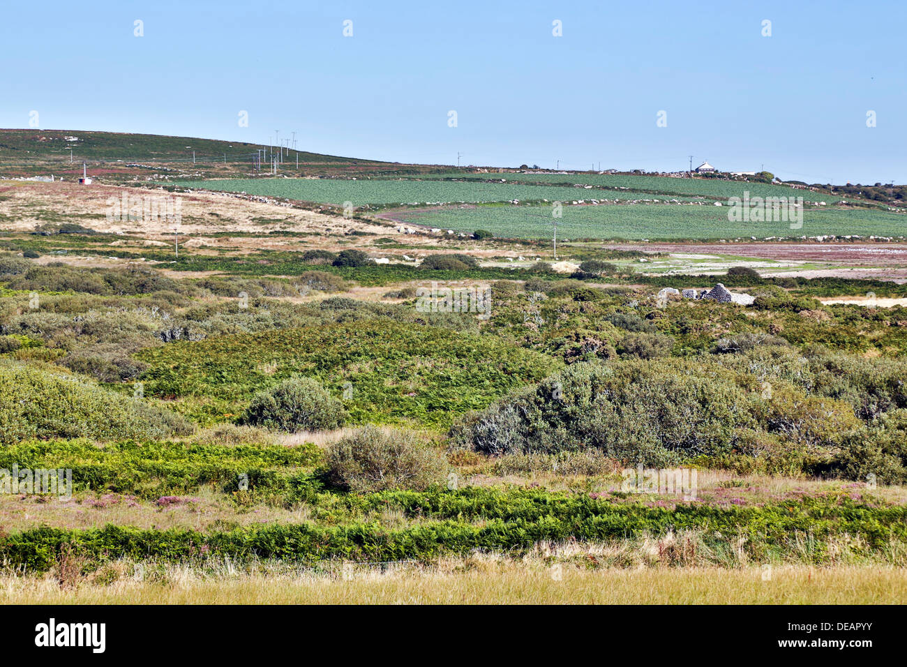 Bostraze ; Penwith, Cornwall, UK Banque D'Images